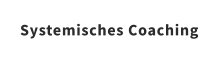 Systemisches Coaching